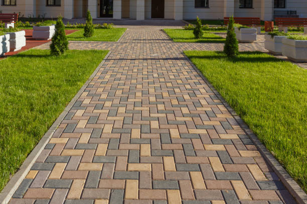 Best Driveway Paving Near Me  in Fisher, IL